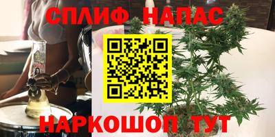 jwh Можга