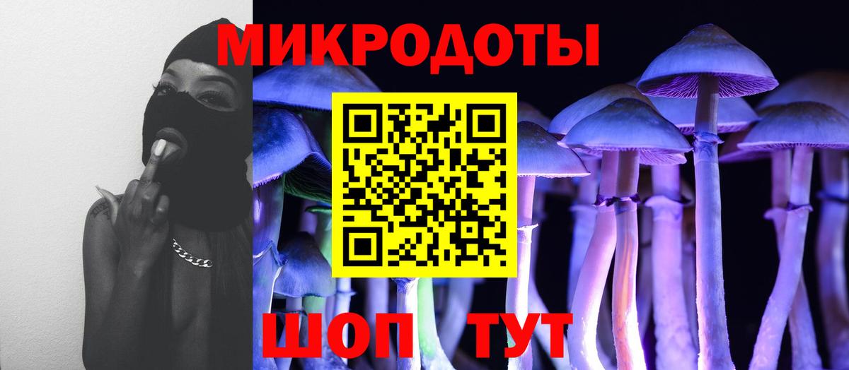 Знаменск  Галлюциногенные грибы MAGIC MUSHROOMS  Вход с VPN  Галлюциногенные грибы GOLDEN TEACHER 